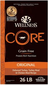 Wellness Core Healthy Skin Dry Dog Food