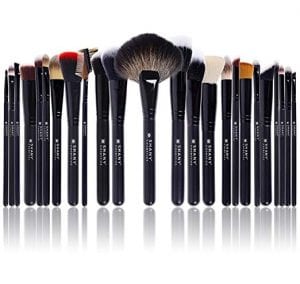 SHANY Pro 24-Piece Signature Brush Set