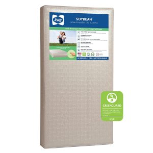 Sealy Soybean High-Density Cotton Crib Mattress