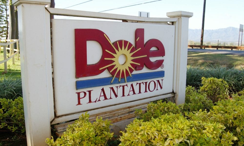 Dole Shares Rise on CEO Buyout Offer