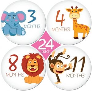 KiddosArt Monthly Baby Milestone Stickers