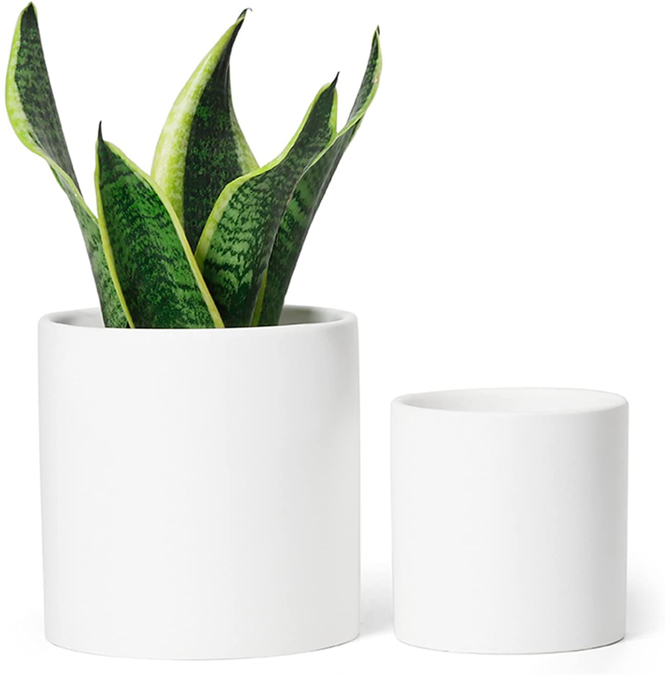 Greenaholics Ceramic Planter Pots, Set Of 2