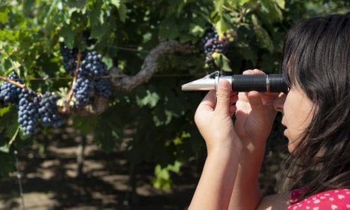 Best Refractometer