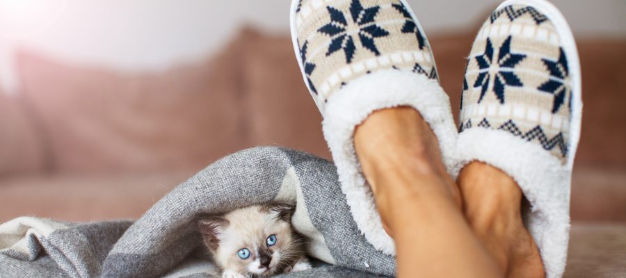 Best Women's Slippers