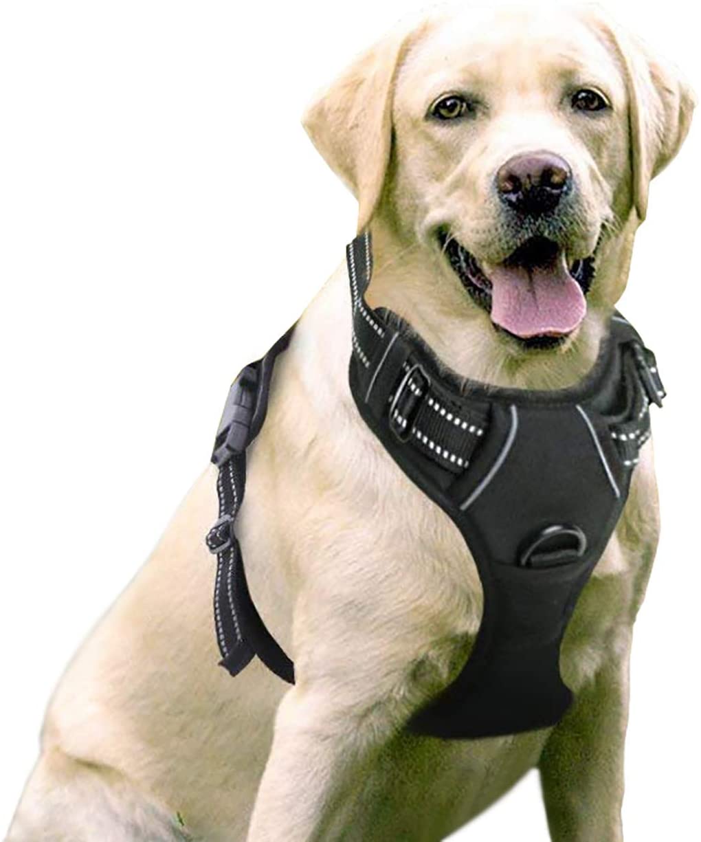 rabbitgoo Breathable Cushioned Large Dog Harness