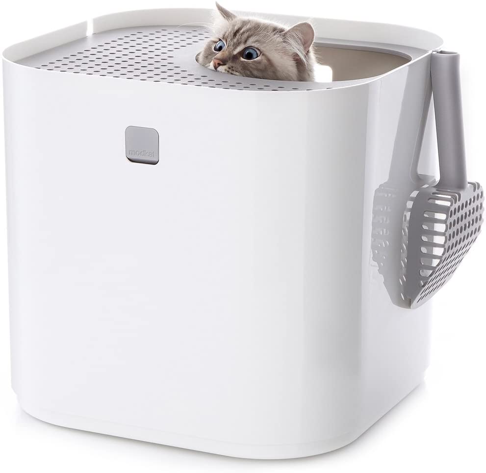 Modkat Top Entry Litter Box