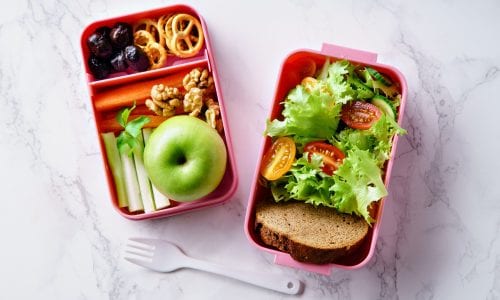 Best Bento Lunchbox For Girls