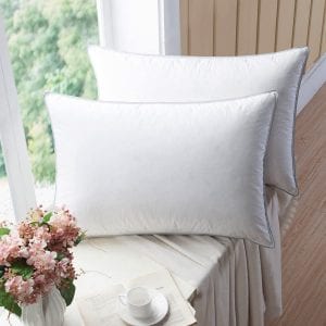 Wenersi Feather Blended Goose Down Pillows, 2-Pack