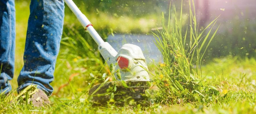 Best Battery Powered Weed Wacker