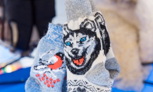Best Dog Socks For Women