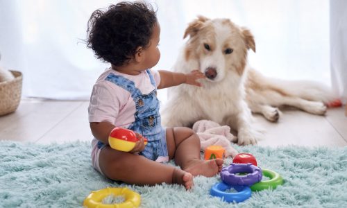 Best Toys For 6 Month Old Girls