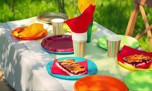 Best Disposable Table Covers