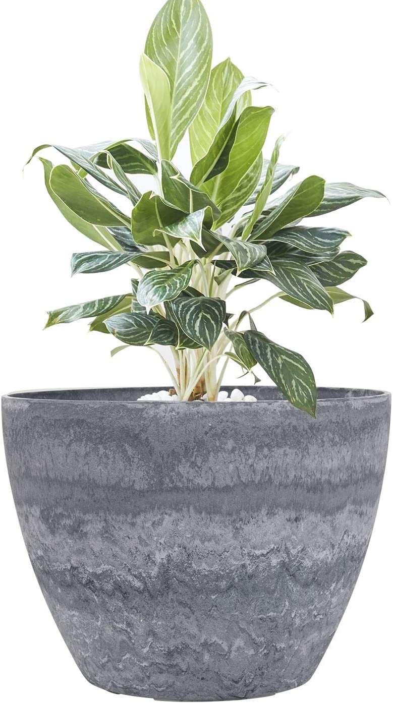 La Jolíe Muse Tree Container Front Door Planter