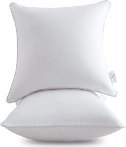 Leeden Machine Washable Throw 20 x 20 Pillow Insert, Set Of 2