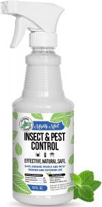 Mighty Concentrated Peppermint Oil Indoor Insect Spray