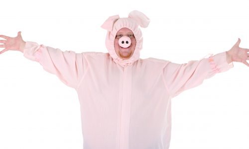 Best Adult Pig Costume
