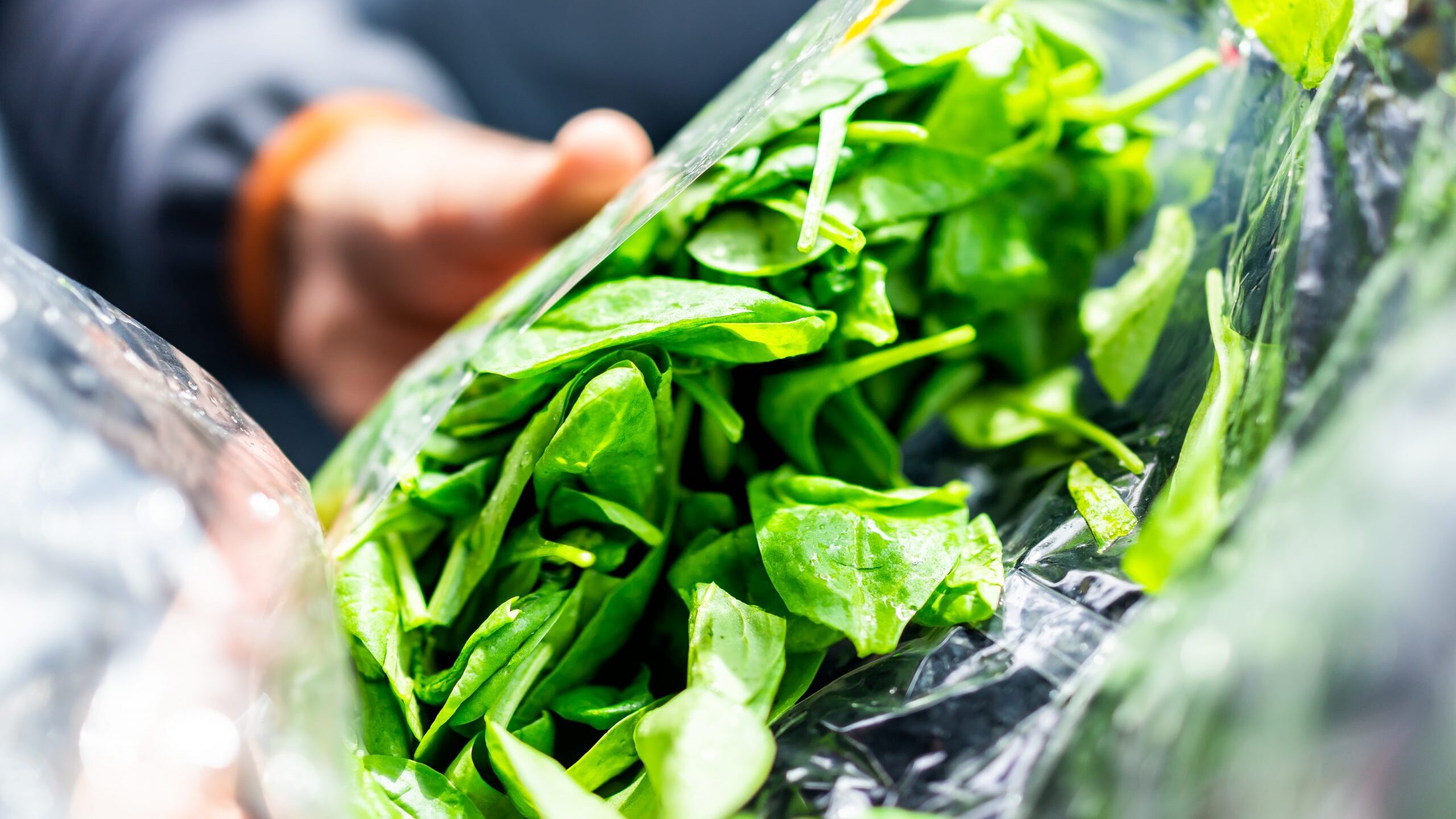 Bag of salad greens