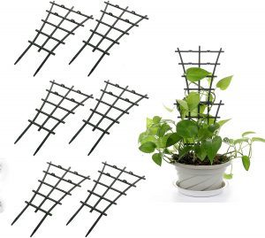 GWOKWAI Potted Plant Plastic Trellis, 6-Pack