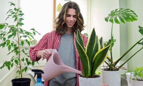 guy watering plants