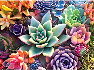 eniref Succulents 5D Diamond Painting Kit