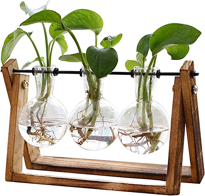 XXXFLOWER Wooden Stand Glass Bulb Vase Propogation Terrarium