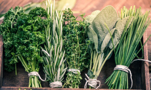 close view on fresh herbs bunch