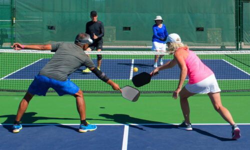 pickleball in action