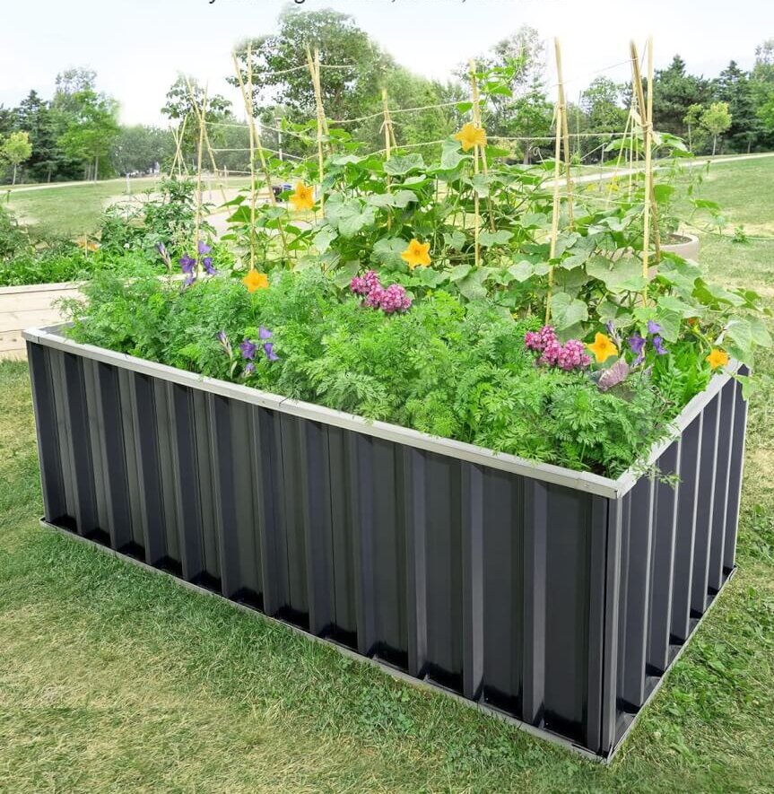 KING BIRD Raised Garden Bed